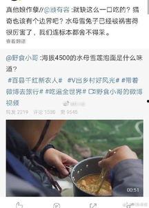 兔子爆料博主视频,视频背后的真实故事 第1张 兔子爆料博主视频,视频背后的真实故事 第1张